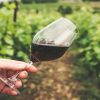 wine