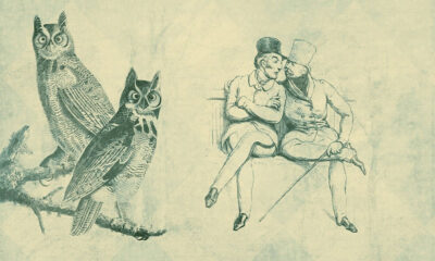 gossip