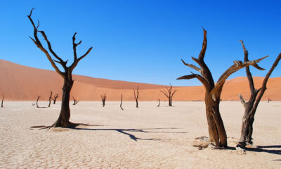 Land
