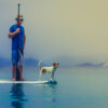 paddle